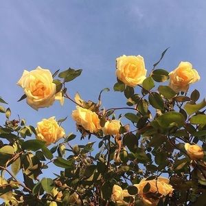 Meet your Posher, Kathryn